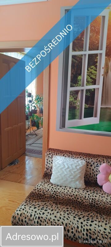 dom wolnostojący, 2 pokoje Ostrówek. Zdjęcie 5