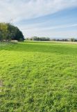 Działka rolno-budowlana Rębiszów. Zdjęcie 1