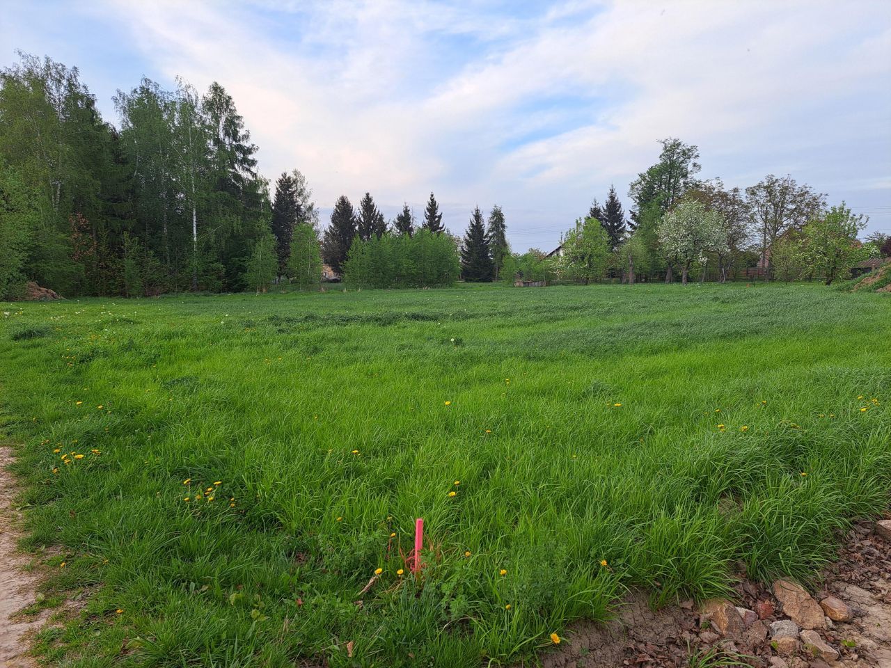 Działka budowlana Uciechów. Zdjęcie 2