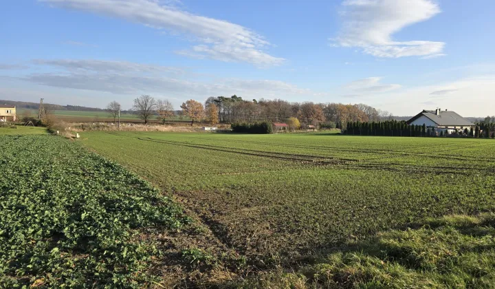 Działka rolno-budowlana Targoszyn