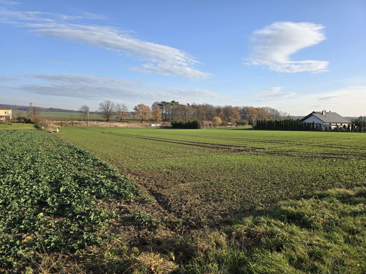 Działka rolno-budowlana Targoszyn