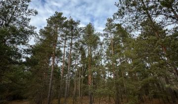 Działka leśna Budy Rumockie