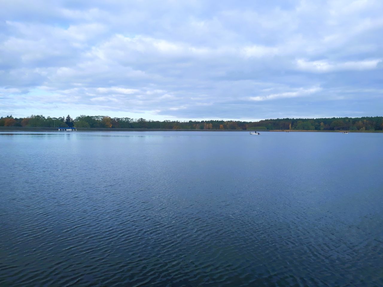 Działka leśna Józefina Murowaniec. Zdjęcie 3
