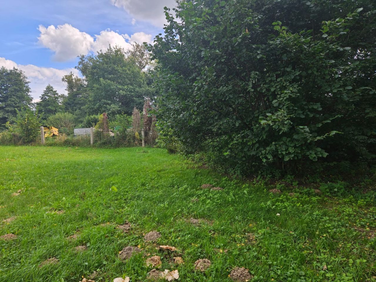 Działka budowlana Krosino, Krosino. Zdjęcie 12