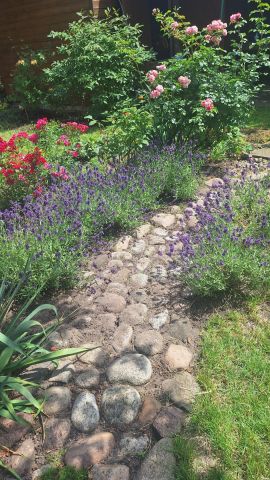 Działka rod Warszawa Marymont, ul. Klaudyny. Zdjęcie 12