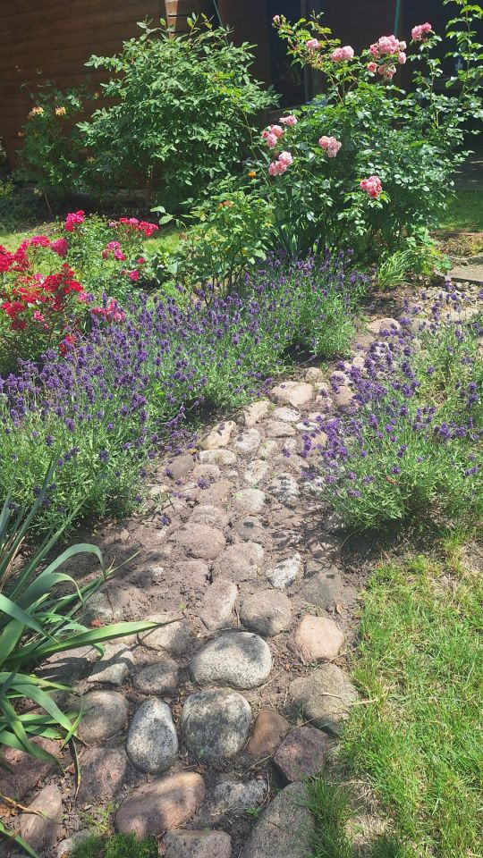 Działka rod Warszawa Marymont, ul. Klaudyny. Zdjęcie 12