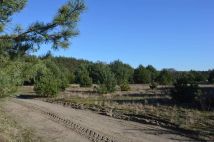 Działka budowlana Gąsiorowo. Zdjęcie 4