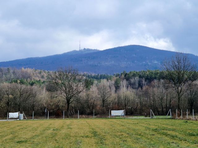 Działka budowlana Biała. Zdjęcie 1