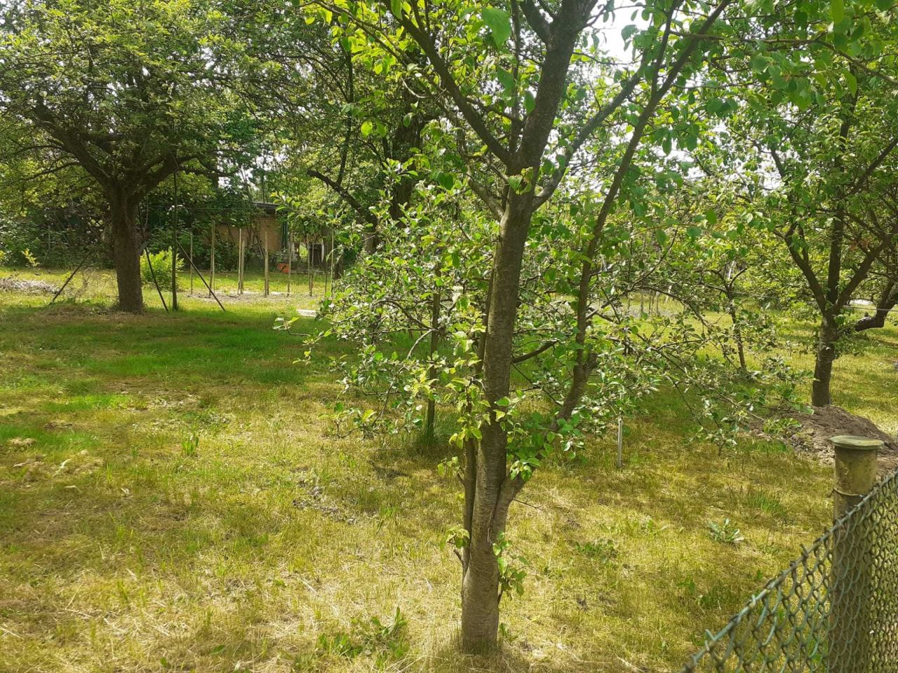 Działka rod Gliwice Stare Gliwice, ul. Kozielska. Zdjęcie 6