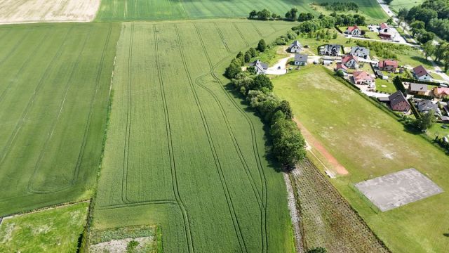 Działka rolna Smętowo Graniczne. Zdjęcie 7