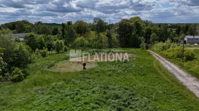 Działka rolna Dalwin. Zdjęcie 2