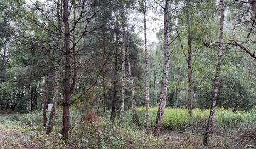 Działka budowlana Nowy Prażmów, ul. Wiśniowa