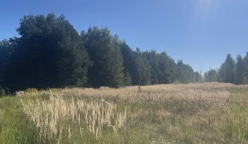 Działka rolno-budowlana Biała Wielka Wojewódze