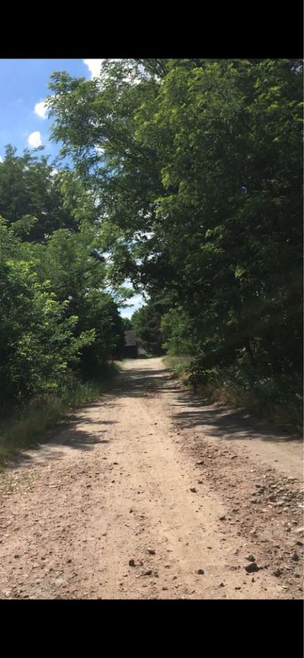 Działka rolno-budowlana Sądów. Zdjęcie 4