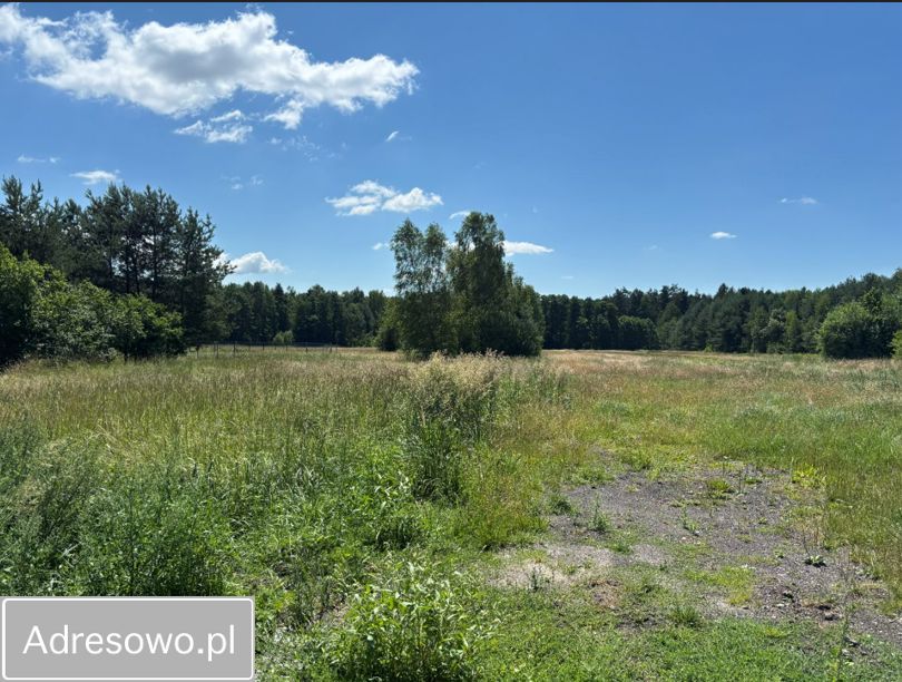 Działka inna Cynków, ul. Leśna. Zdjęcie 2