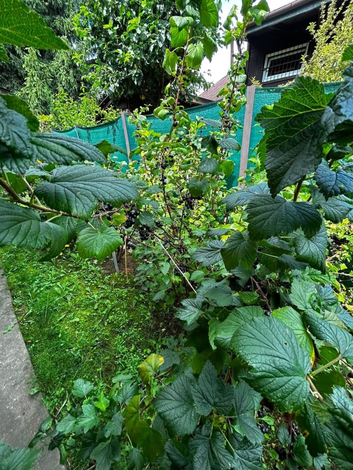 dom wolnostojący, 2 pokoje Komorów, ul. Turystyczna. Zdjęcie 13