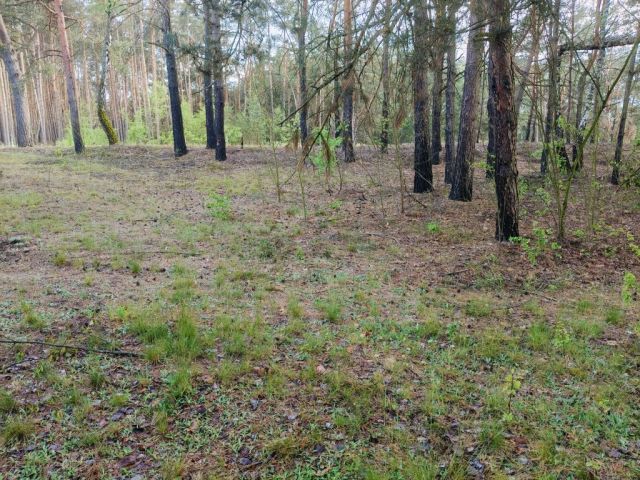 Działka Kiciny. Zdjęcie 1