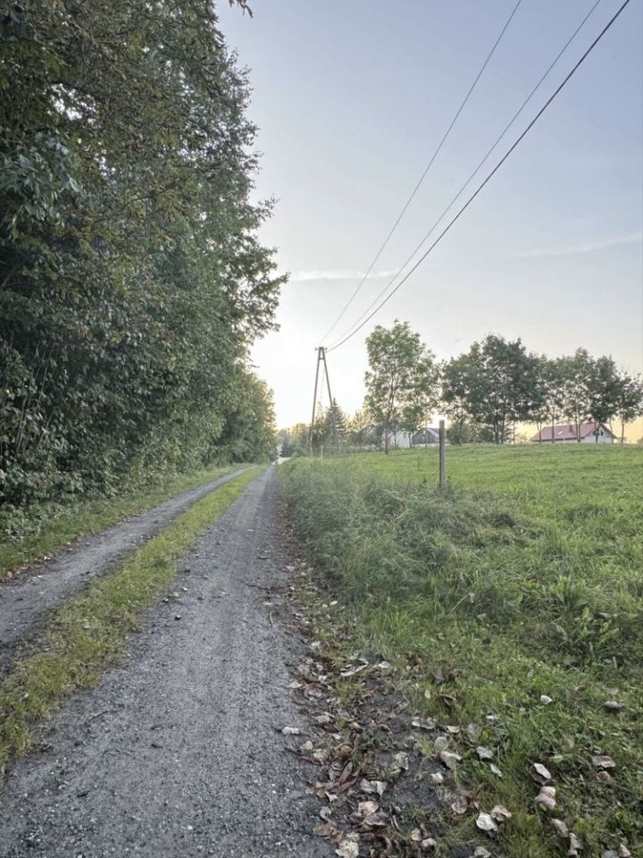 Działka rolno-budowlana Leśniewo. Zdjęcie 2