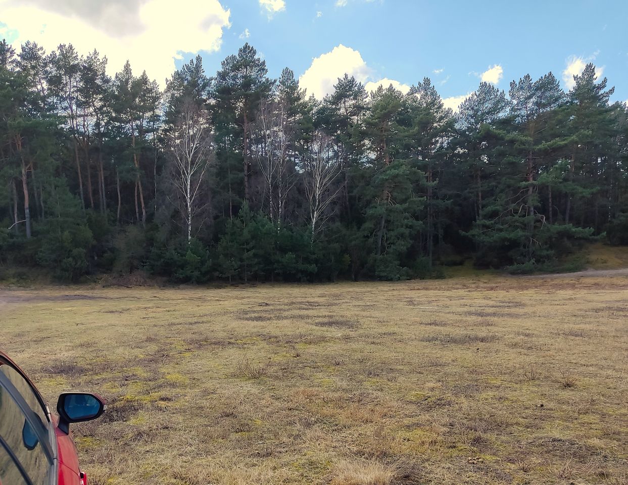 Działka budowlana Sąsieczno Miszek, ul. Adama Mickiewicza. Zdjęcie 4