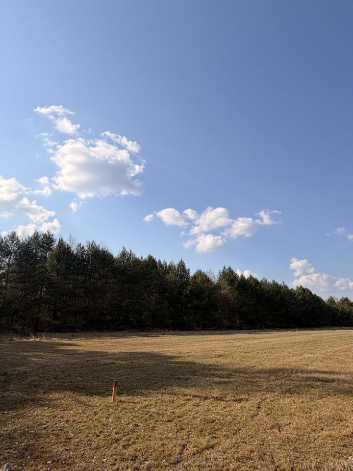 Działka budowlana Brańszczyk, ul. Ciepła. Zdjęcie 5