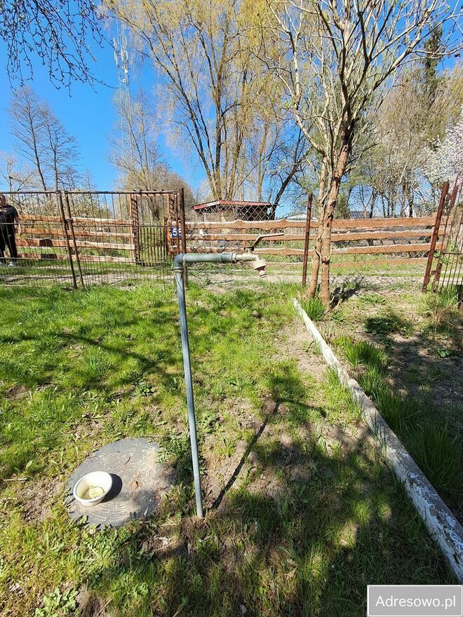 Działka rod Radom Wośniki, ul. Kielecka. Zdjęcie 5