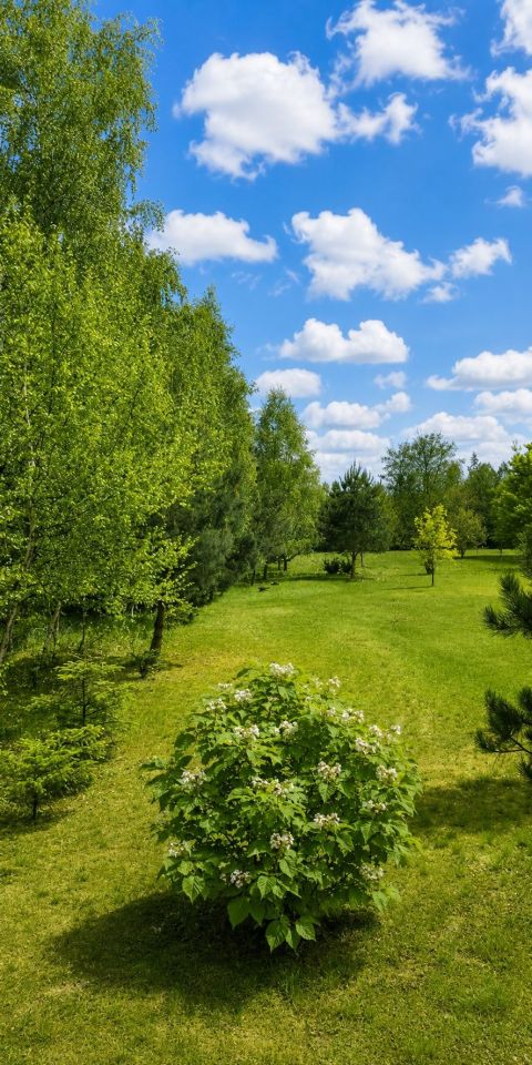 Działka budowlana Korniaktów Północny. Zdjęcie 2