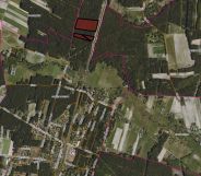 Działka leśna Stare Bosewo. Zdjęcie 2