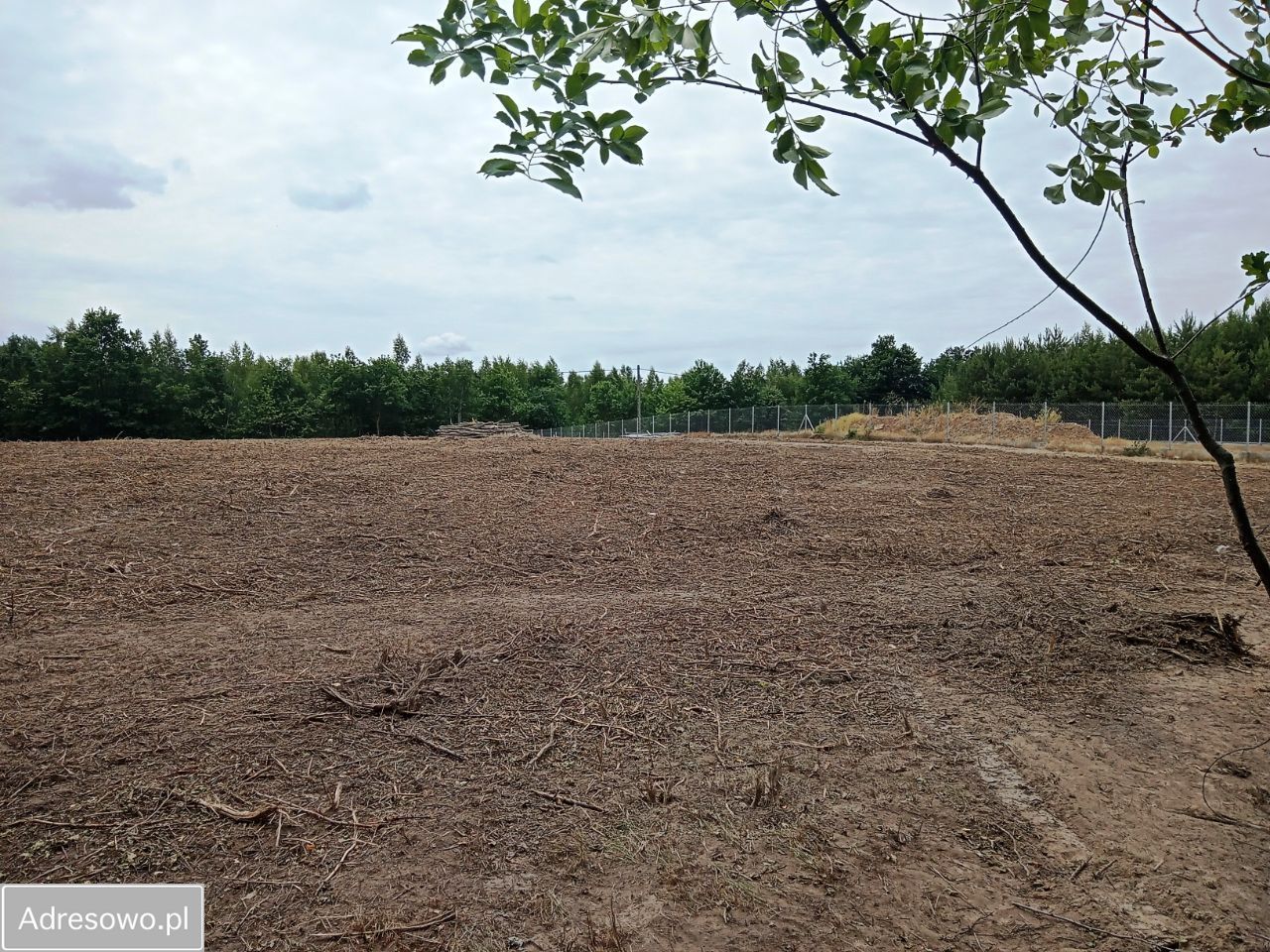Działka rolna Płock Budy Dolne, ul. Jordanowska. Zdjęcie 10