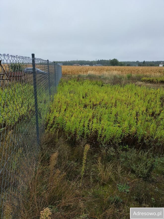Działka budowlana Obrowo, ul. Szafirowa. Zdjęcie 7