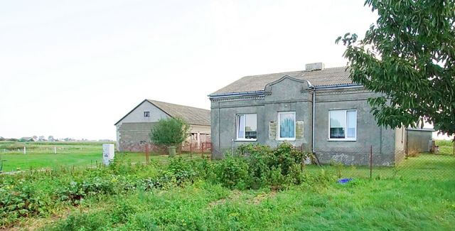 gospodarstwo Zbójno. Zdjęcie 24