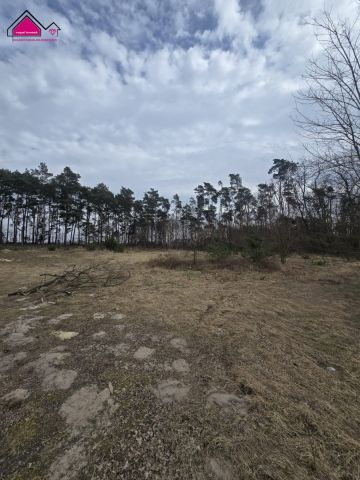 Działka budowlana Lisiec Mały. Zdjęcie 4