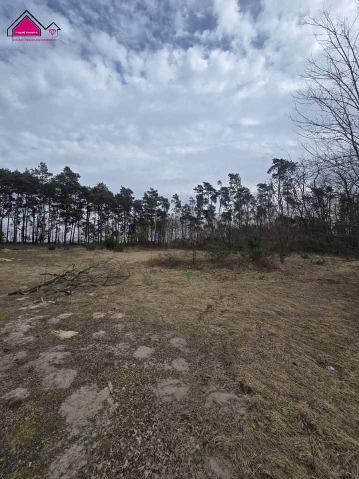 Działka budowlana Lisiec Mały. Zdjęcie 4