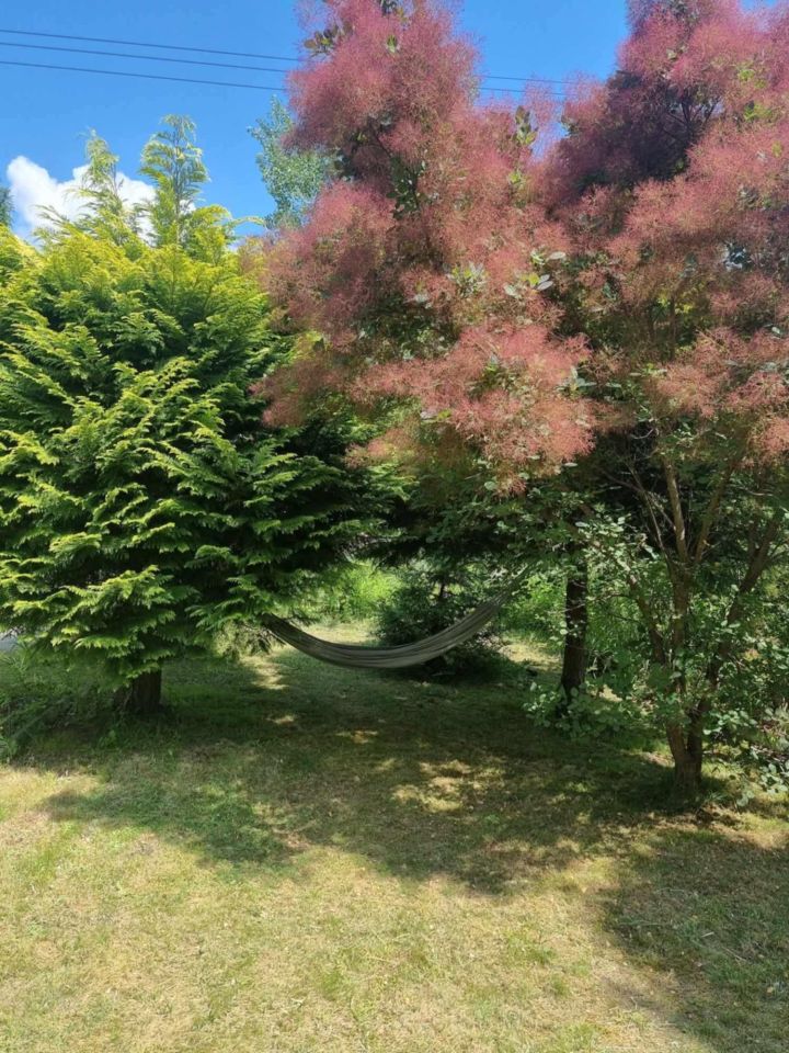 Działka rod Otwock. Zdjęcie 6