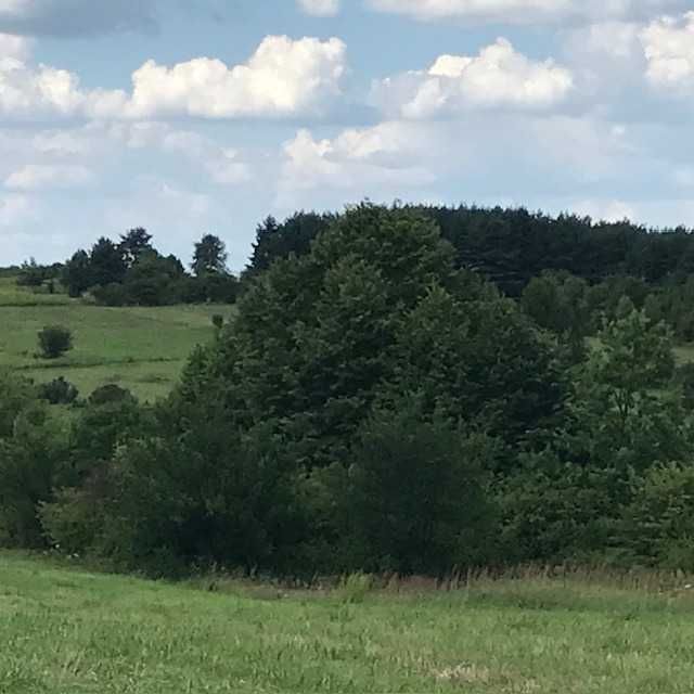 Działka budowlana Bolęcin, ul. Zakopiańska. Zdjęcie 3