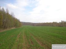 Działka rolna Niwnice. Zdjęcie 3