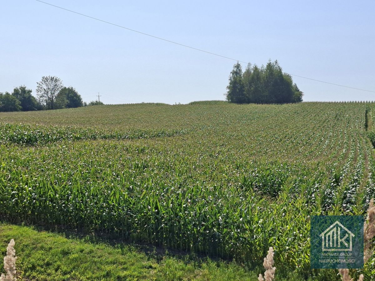 Działka budowlana Bodzanów. Zdjęcie 5