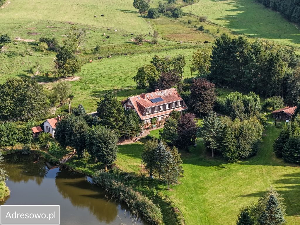 Nieruchomość komercyjna Górawino. Zdjęcie 5