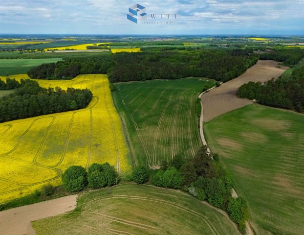 Działka rolna Rudno. Zdjęcie 2