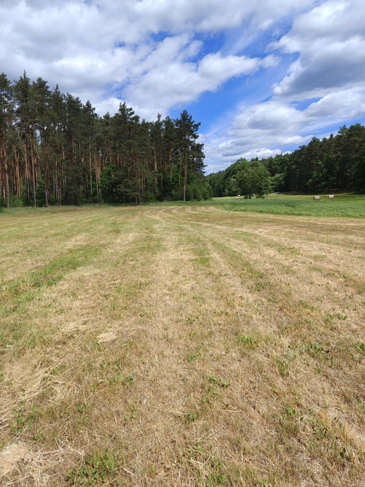 Działka rolno-budowlana Pożarów. Zdjęcie 4