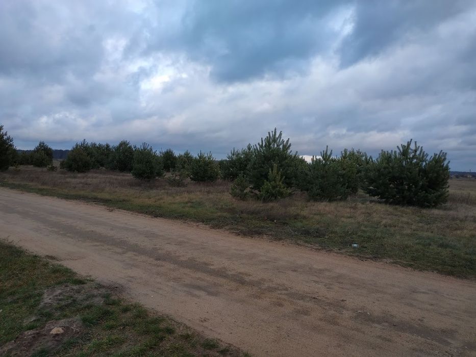 Działka rolna Brok, ul. Przychód. Zdjęcie 4