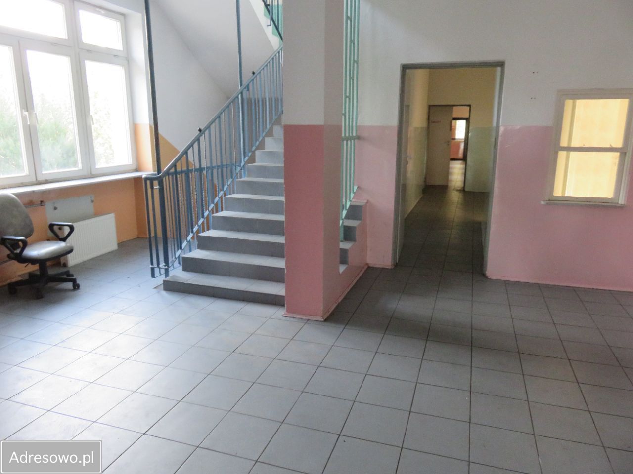 Lokal Paprotnia. Zdjęcie 17