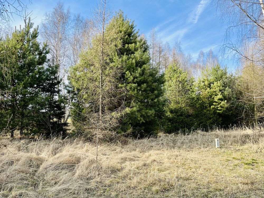 Działka budowlana Sieradz