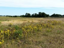 Działka inna Karwieńskie Błoto Pierwsze. Zdjęcie 4