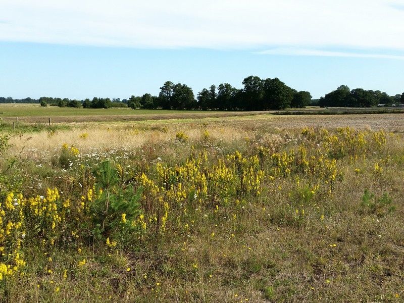 Działka inna Karwieńskie Błoto Pierwsze. Zdjęcie 5