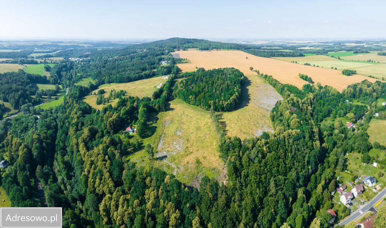Działka budowlana Podlesie. Zdjęcie 10