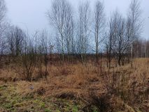 Działka rolno-budowlana Smogorzów, ul. Główna. Zdjęcie 2