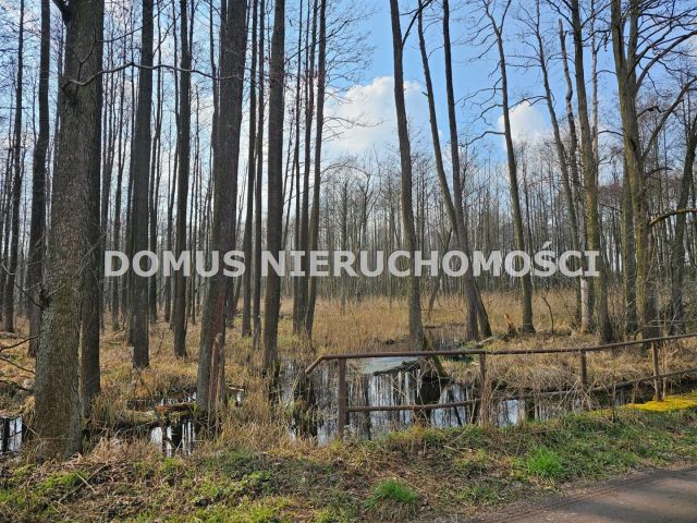 dom wolnostojący, 3 pokoje Frydrychów. Zdjęcie 5