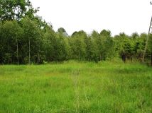 Działka inwestycyjna Wiewiórczyn, ul. Wincentego Witosa. Zdjęcie 3