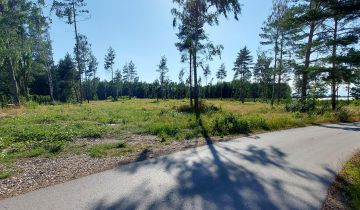 Działka rolna Lekarcice