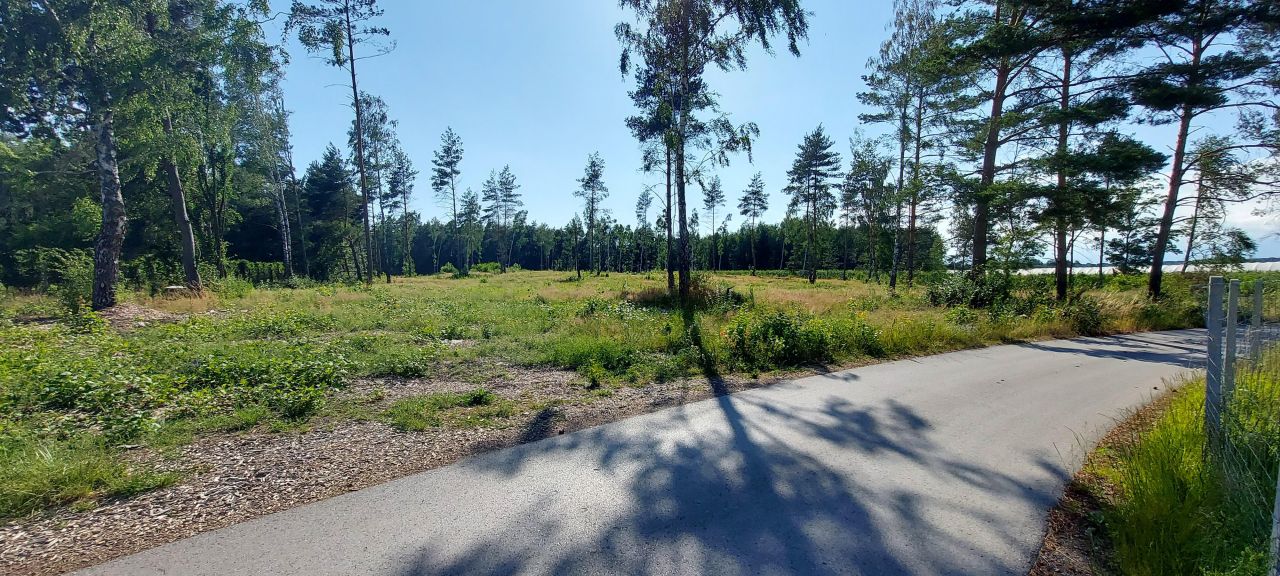 Działka rolna Lekarcice. Zdjęcie 2